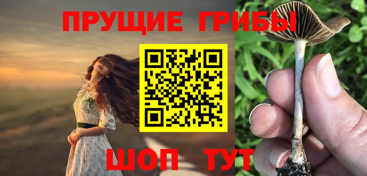 Галлюциногенные грибы Magic Shrooms  Псилоцибиновые грибы Magic Shrooms  где купить наркоту  Вход с VPN  Кизилюрт 